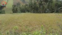 VENDO 15.000 M2 DE TERRENO CON CASA EN OTAVALO APTO PARA HOSTERÍA O CASA DE CAMPO