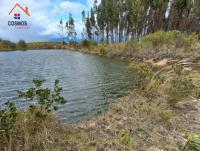 VENTA DE TERRENO EN CARCHI GARCIA MORENO, 3 HA CON AGUA DE RIEGO