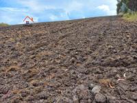 VENTA DE TERRENO EN CARCHI GARCIA MORENO, 3 HA CON AGUA DE RIEGO