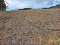 VENTA DE TERRENO EN CARCHI GARCIA MORENO, 3 HA CON AGUA DE RIEGO