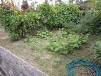 TERRENO CON CASA DE CAMPO EN CHACHIMBIRO, 2.000 M2