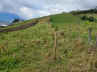 TERRENO DE VENTA EN OTAVALO SECTOR MOJANDA MIRADOR