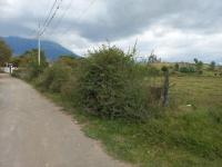 TERRENO DE VENTA EN ATUNTAQUI, SANTA ROSA DE MORAS, 5000 M2