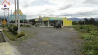 VENTA DE LOCAL COMERCIAL AL FILO DE LA PANAMERICANA NORTE SECTOR PINSAQUI