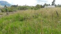 TERRENO DE VENTA EN OTAVALO, CALPAQUI, 350 M2