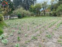 VENTA DE CASA CON TERRENO EN CENTRO DE OTAVALO, 7838 m12