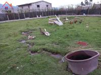 CASA CON TERRENO EN OTAVALO SECTOR RANCHO CHICO, CAMINO A ILUMAN, 1500 m2