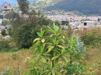 VENTA DE TERRENO EN OTAVALO SECTOR MONSERRATH ALTO, 2300 M2