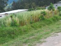VENTA DE TERRENO CON MEDIAGUAS EN OTAVALO SECTOR GUALAVI