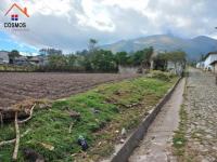 VENTA DE TERRENO EN OTAVALO - ILUMAN SECTOR ÁNGEL PAMBA, 1592 m2