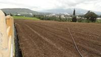 HACIENDA DE VENTA EN CAYAMBE, 43 HECTÁREAS