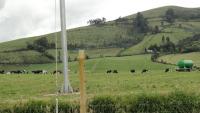 HACIENDA DE VENTA EN CAYAMBE, 43 HECTÁREAS
