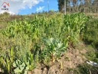 TERRENO ESQUINERO DE VENTA EN OTAVALO SECTOR MACHANGARA, 160 M2
