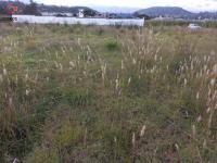 LOTES DE VENTA EN OTAVALO SECTOR SAN VICENTE DE COTAMA