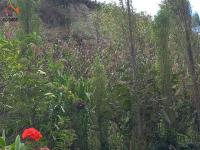 CASA DE CAMPO EN OTAVALO SECTOR RIO BLANCO