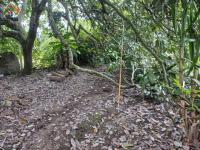 SE VENDE 2 LOTES DE 600 M2 EN IBARRA SECTOR GUAYLLABAMBA