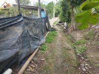 SE VENDE 2 LOTES DE 600 M2 EN IBARRA SECTOR GUAYLLABAMBA