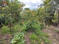 TERRENO DE VENTA EN IBARRA SECTOR GUAYLLAMBAMBA, 600 m2