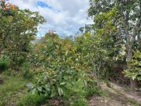 TERRENO DE VENTA EN IBARRA SECTOR GUAYLLAMBAMBA, 600 m2