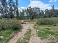 VENTA DE TERRENO EN OTAVALO VÍA SELVA ALEGRE SECTOR SAN CARLOS, 35.000 m2