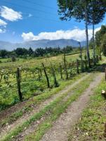 SE VENDE 6 HECTÁREAS EN INTAG,CAZARPAMBA - PUCARA