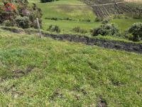 SE VENDE 8,5 HECTÁREAS EN CAYAMBE, PESILLO SECTOR LA CHIMBA