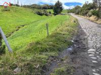 SE VENDE 8,5 HECTÁREAS EN CAYAMBE, PESILLO SECTOR LA CHIMBA