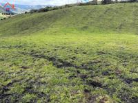 SE VENDE 8,5 HECTÁREAS EN CAYAMBE, PESILLO SECTOR LA CHIMBA