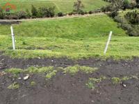 SE VENDE 8,5 HECTÁREAS EN CAYAMBE, PESILLO SECTOR LA CHIMBA