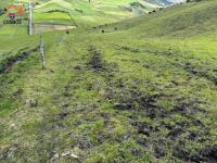 SE VENDE 8,5 HECTÁREAS EN CAYAMBE, PESILLO SECTOR LA CHIMBA