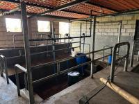 SE VENDE 8,5 HECTÁREAS EN CAYAMBE, PESILLO SECTOR LA CHIMBA