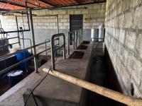SE VENDE 8,5 HECTÁREAS EN CAYAMBE, PESILLO SECTOR LA CHIMBA