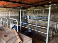 SE VENDE 8,5 HECTÁREAS EN CAYAMBE, PESILLO SECTOR LA CHIMBA