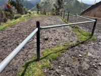 SE VENDE 8,5 HECTÁREAS EN CAYAMBE, PESILLO SECTOR LA CHIMBA