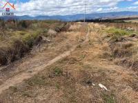 SE VENDE 6,6 HECTÁREAS CON INVERNADEROS DE FLORES EN CARCHI, GARCÍA MORENO