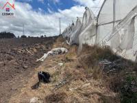 SE VENDE 6,6 HECTÁREAS CON INVERNADEROS DE FLORES EN CARCHI, GARCÍA MORENO