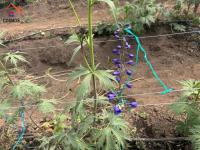 SE VENDE 6,6 HECTÁREAS CON INVERNADEROS DE FLORES EN CARCHI, GARCÍA MORENO