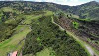 HACIENDA DE VENTA EN COTACACHI SECTOR URCUSIQUI, 66 HECTÁREAS
