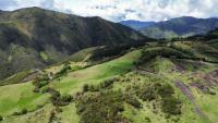 HACIENDA DE VENTA EN COTACACHI SECTOR URCUSIQUI, 66 HECTÁREAS