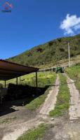 HACIENDA DE VENTA EN COTACACHI SECTOR URCUSIQUI, 66 HECTÁREAS