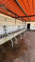 HACIENDA DE VENTA EN COTACACHI SECTOR URCUSIQUI, 66 HECTÁREAS