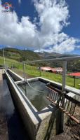 HACIENDA DE VENTA EN COTACACHI SECTOR URCUSIQUI, 66 HECTÁREAS