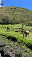 HACIENDA DE VENTA EN COTACACHI SECTOR URCUSIQUI, 66 HECTÁREAS