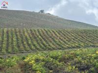 HACIENDA DE VENTA EN OTAVALO SECTOR MOJANDITA DE CURUBI