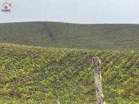 HACIENDA DE VENTA EN OTAVALO SECTOR MOJANDITA DE CURUBI