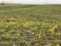 HACIENDA DE VENTA EN OTAVALO SECTOR MOJANDITA DE CURUBI
