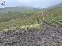 HACIENDA DE VENTA EN OTAVALO SECTOR MOJANDITA DE CURUBI