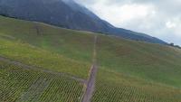 HACIENDA DE VENTA EN OTAVALO SECTOR MOJANDITA DE CURUBI