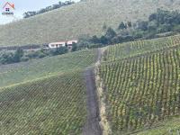 HACIENDA DE VENTA EN OTAVALO SECTOR MOJANDITA DE CURUBI