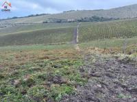 HACIENDA DE VENTA EN OTAVALO SECTOR MOJANDITA DE CURUBI